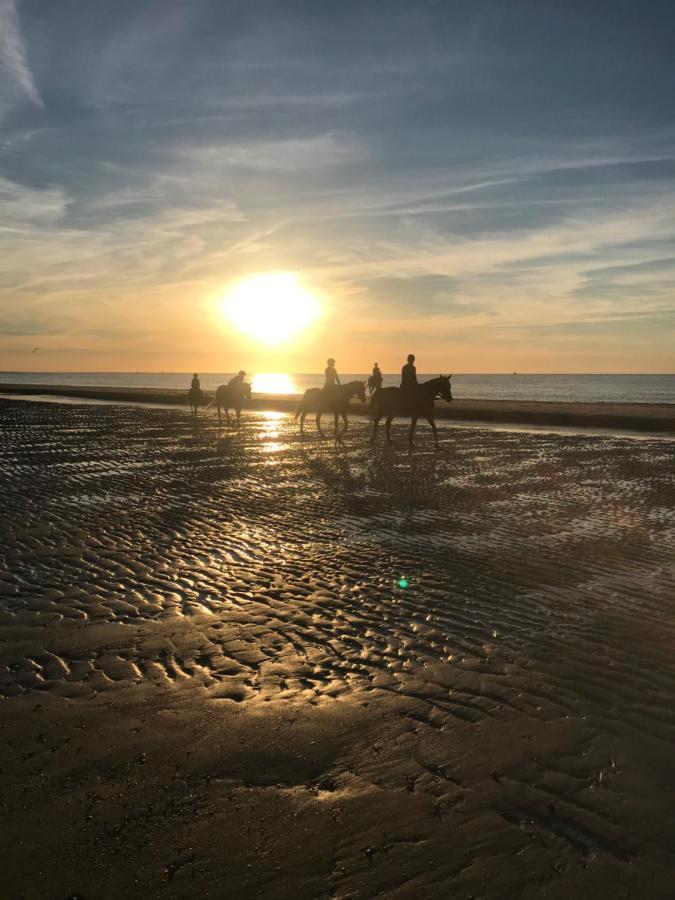 Affittacamere Etoile Aan Zee
